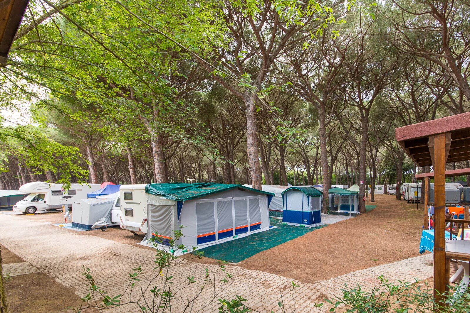 Paradise Marina Village кемпинг. Camping Pitch. Camping platform