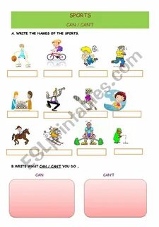 Could sports