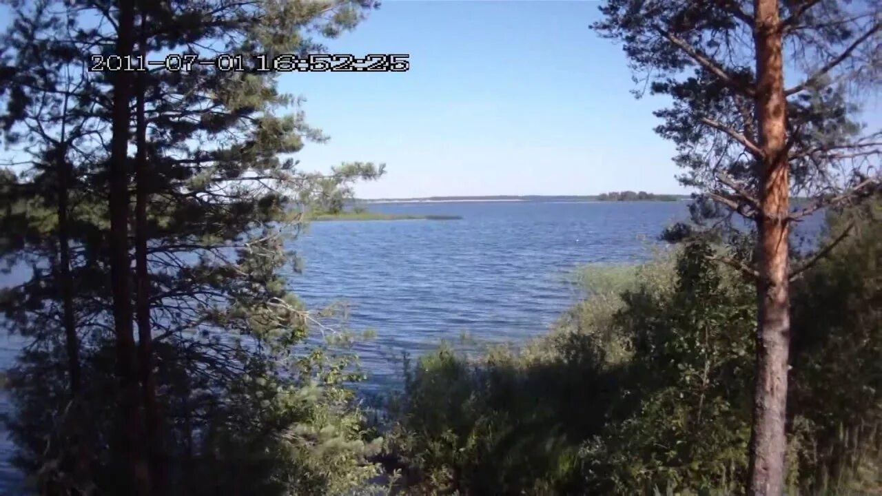 Рыбинское водохранилище кемпинг с палатками. Рыбинское водохранилище сосны. бобарино рыбинское водохранилище. палаточный лагерь на рыбинском водохранилище. кемпинг ветрено рыбинское водохранилище.