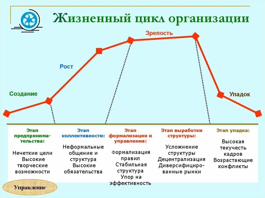 Жизненные стадии компании