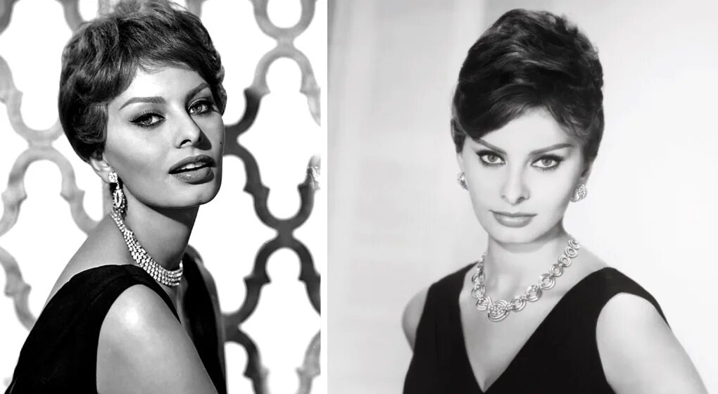 софия виллани шиколоне. мария шиколоне. софи лорен. софия лорен сейчас 2019. софия виллани шиколоне.