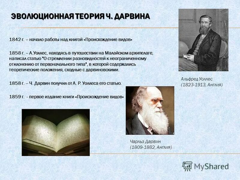 Утверждения теории дарвина. Теория эволюции Дарвин 1842. Эволюционное учение Чарльза Дарвина. Эволюционная теория Дарвина-Уоллеса.. Уоллес эволюционная теория.