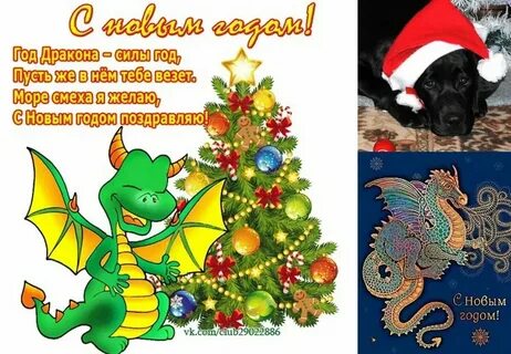 Красивый стих про новый год дракона