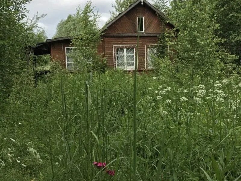 Погода асташково орехово. Погода асташково орехово. Деревня асташково. Асташково московская область. Погода асташково орехово.