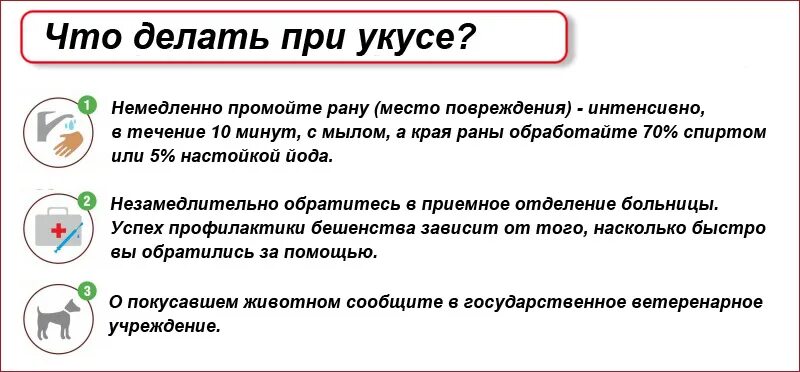 Помощь при укусе собаки. Что делать при укусе собаки. что сделаиьпри укосе србаки. что нельзя делать при укусе животных. что делать при укусе бешеного животного.