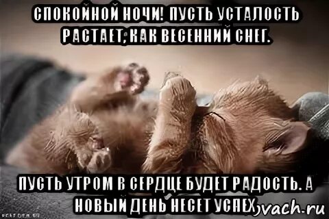 Новый день я устал. Пусть усталость уйдет. Усталость прочь. Спокойной ночи пусть твоя усталость пройдет. Пусть вечер снимет усталость.