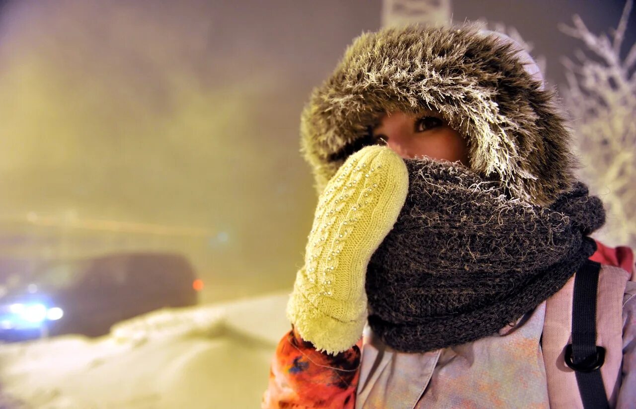 Сильный Мороз. Холодная зима. Тепло одетый человек. Холодно зимой. Почему в холодную погоду многие животные