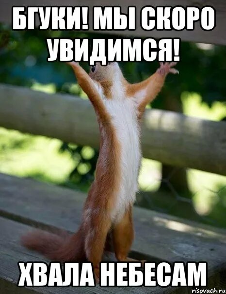 скоро домой с работы. скорее или скорей. стих скоро скоро новый. скорее или скорей. людочка мем.