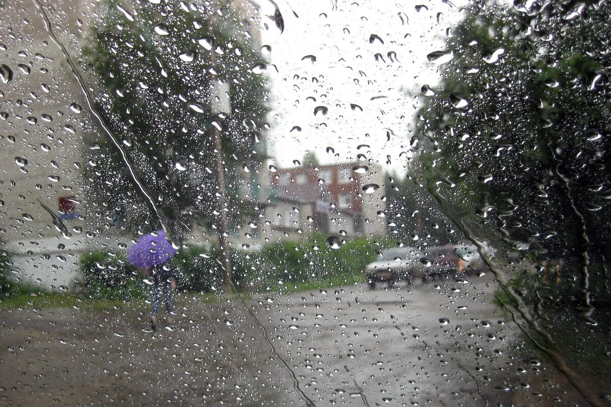 Сильный дождь. Летний ливень. Дождь летом в городе. Дождливое лето в городе.