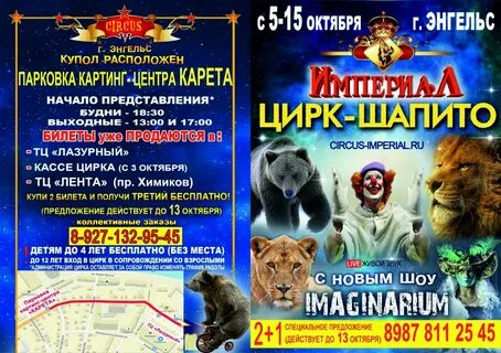 Цирк работа кассы