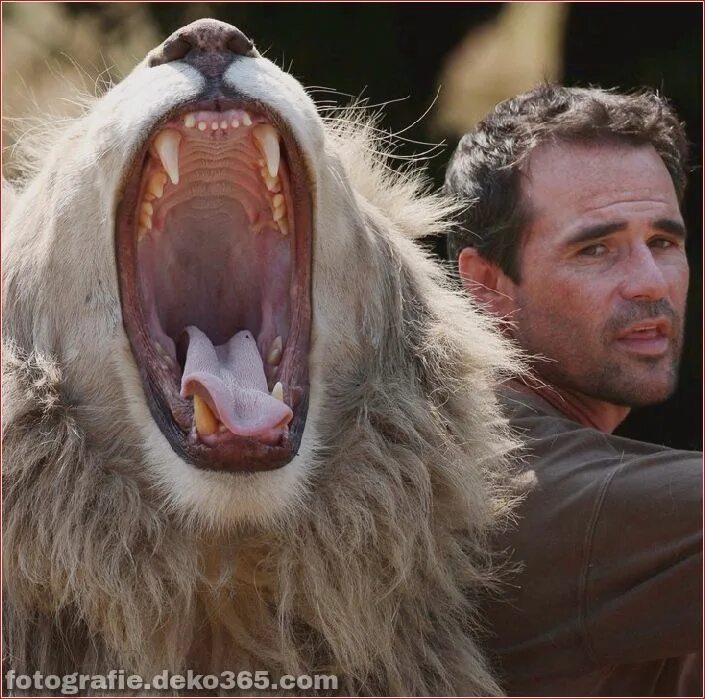 Kevin richardson&#039;s