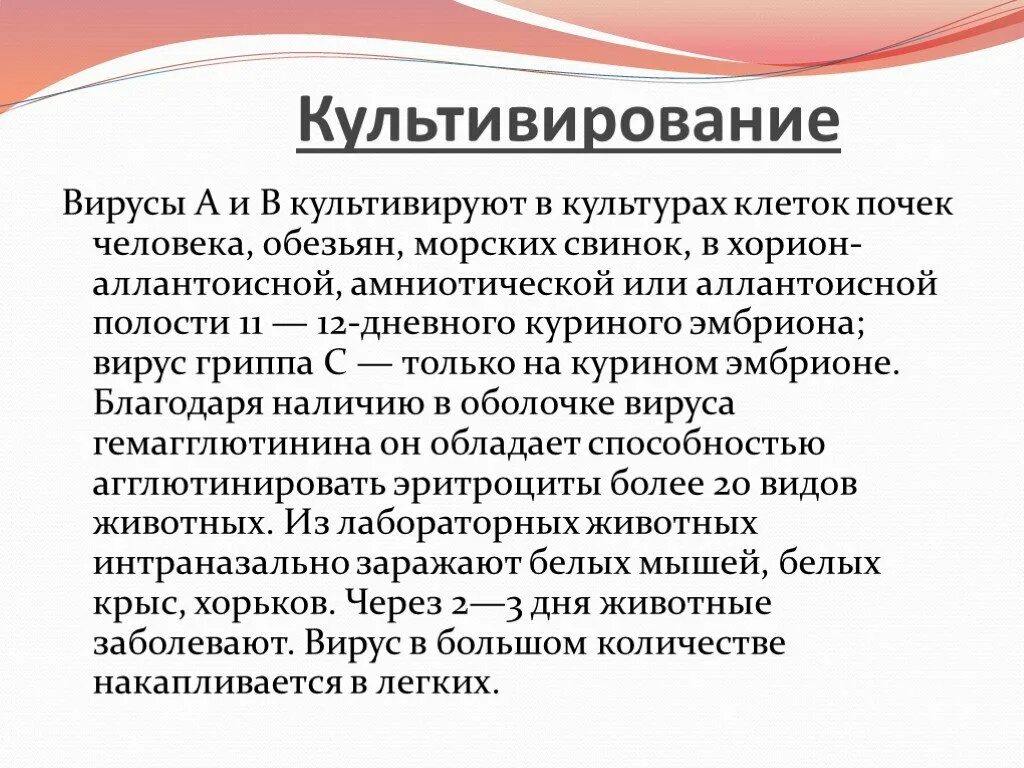 Возбудитель гриппа. Характеристика возбудителя гриппа. Возбудитель гриппа микробиология. Культивирование возбудителя гриппа.