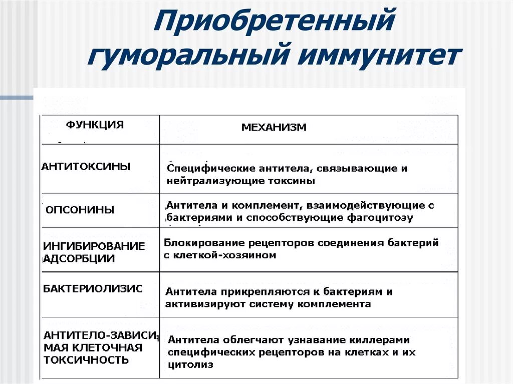 Приобретенный иммунный ответ. Гуморальные факторы приобретенного иммунитета. Клеточные факторы приобретенного иммунитета. Классификация иммунитета клеточный гуморальный. Клеточные и гуморальные факторы приобретенного иммунитета.