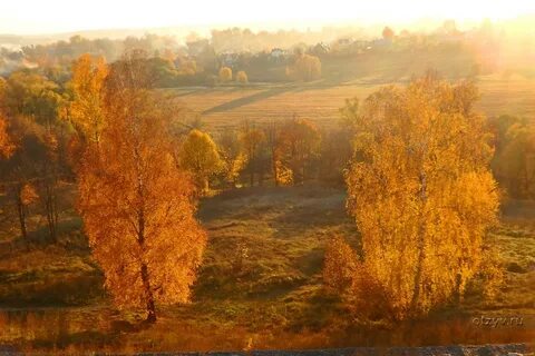 Золотая осень история