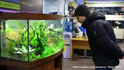 Аква лого молодежная ул 4