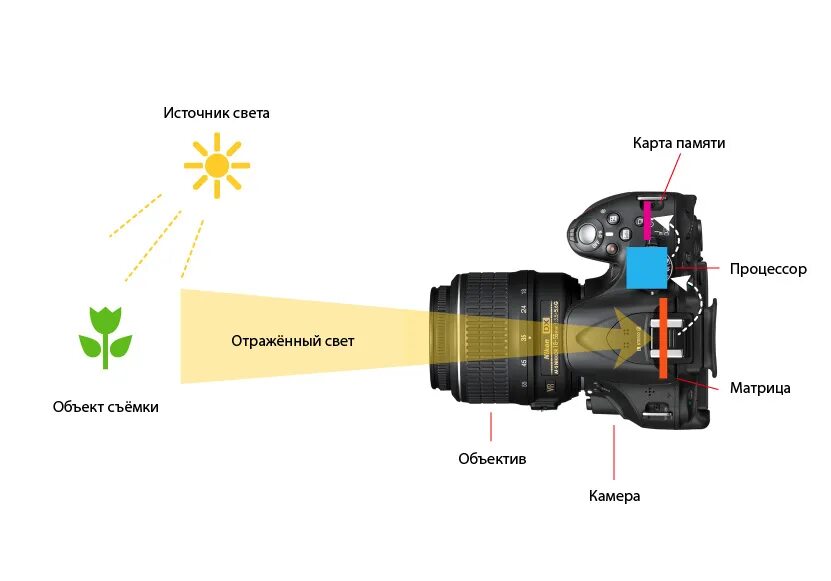 Через что может пройти свет. Строение цифрового фотоаппарата. Из чего состоит цифровой фотоаппарат. Схема и устройство цифровой камеры. Схема зеркального фотоаппарата Nikon.