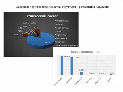Нидерланды состав населения