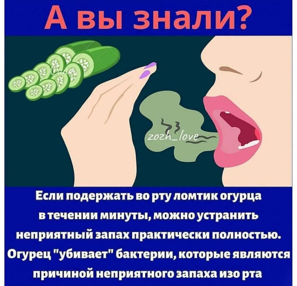 Полезные советы рисунок. Если подержать ломтик огурца во рту. Полезно знать. А вы знали. Сладкий запах изо рта