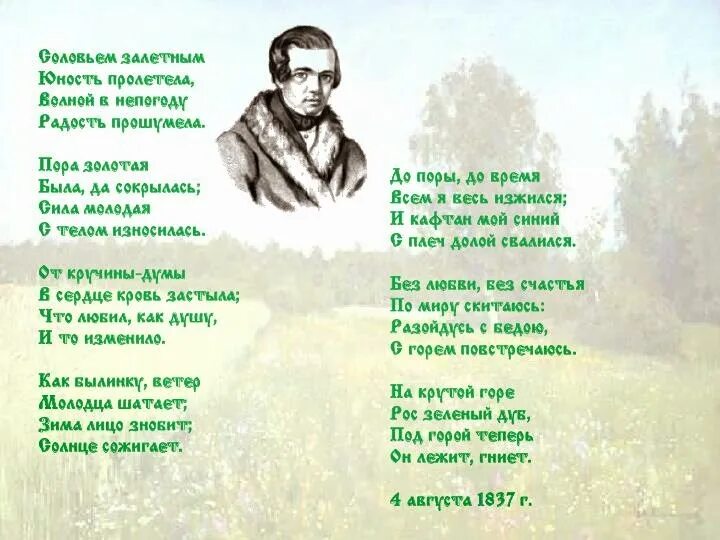 Кольцов Соловей. Стих Кольцова Соловей. Стихотворение соловьи. Анализ стихотворения песни соловья