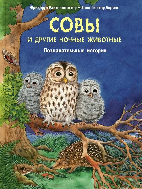 Что такое сов и не сов. Книга райхенштеттер совы и другие ночные животные. совы и другие ночные животные познавательные истории. сова с книгой. детские книги про сов.