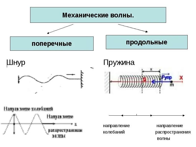 Примеры продольных волн в физике. Продольные и поперечные механические волны. механические волны таблица 9 класс. механические волны поперечные и продольные волны таблица. механические волны,продольные волны,поперечные волны.