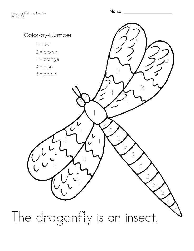 Насекомые задания для дошкольников. Задания на тему насекомые для дошкольников. Раскраска насекомые для дошкольников. Стрекоза раскраска.