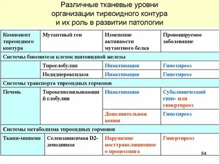 Тканевая организация жизни