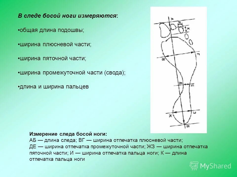 Что означает слово подметка. Измерение ноги измерение следа босой ноги. Измерение следа босой ноги криминалистика. Части следа босой стопы. Ширина плюсневой части стопы.