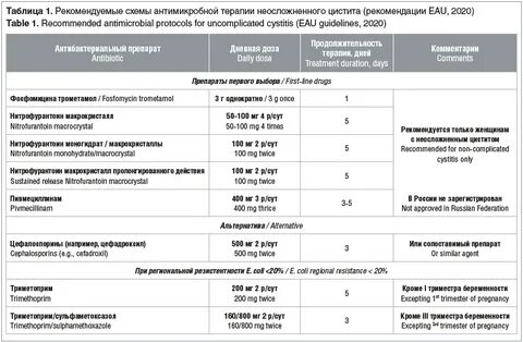 Антибиотики при мочевых инфекциях