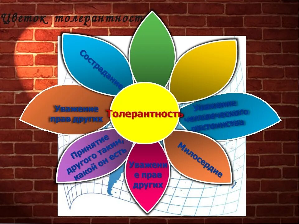 Квест толерантность