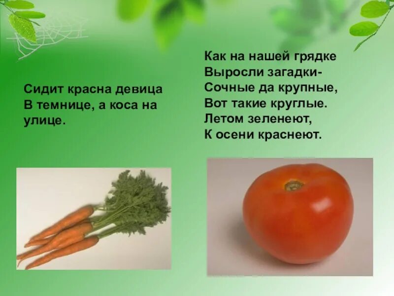 Загадка сидит девица. Красная девица сидит в темнице а коса на улице. загадка красная девица сидит в темнице а коса на улице. красная девица загадка. загадка красная девица сидит в темнице.