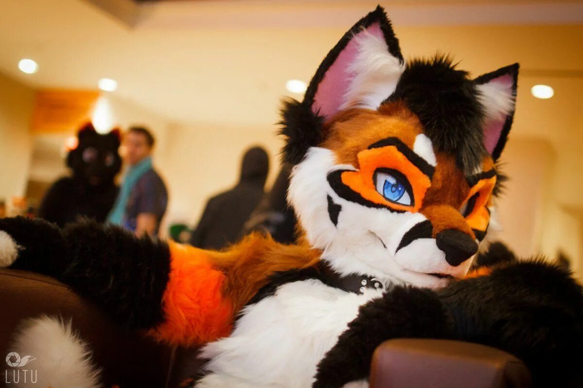 Фурсьют лисы. Фурри костюм. Crash azarel fursuit. Фурсьют гиеновая собака. Фурри фото реальные.