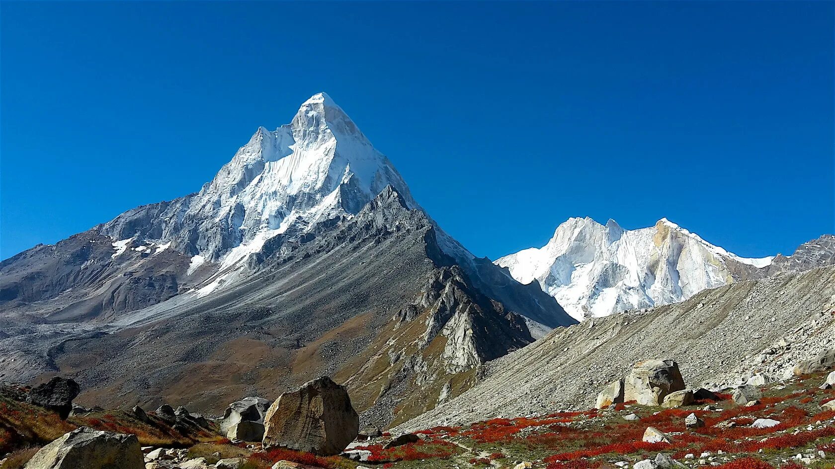 Цвет гималаи. Северные Гималаи. Гималаи Индия. Долина Кулу Гималаи. Горное плато Гималаи.