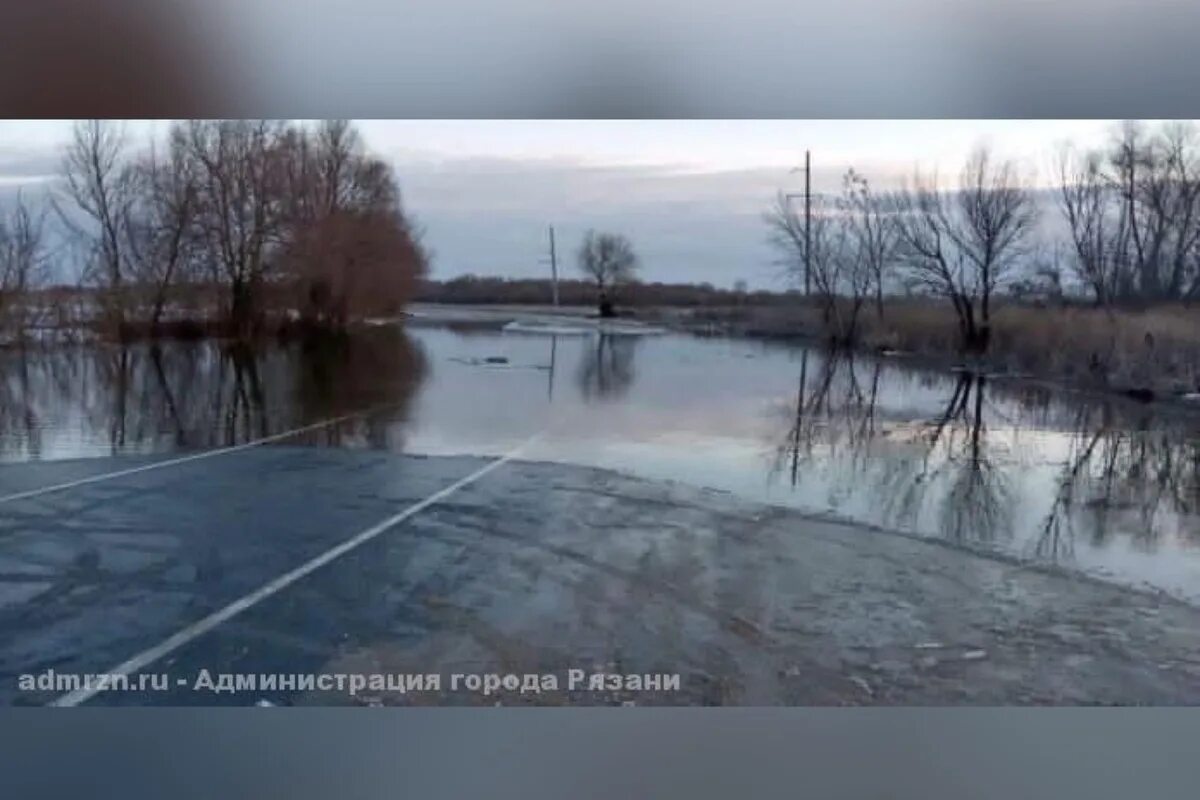 Паводок 2024 рязань на сегодня. Половодье в Борках Рязань. Паводок в Рязани. Разлив Борки. Рязань Борки большой паводок.