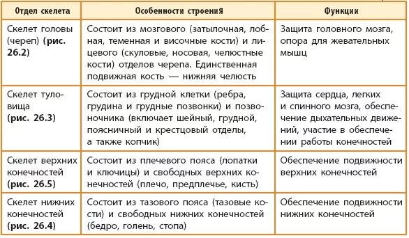 Особенности строения скелета млекопитающих функции. Таблица отдел скелета строение функции. Отделы скелета человека 8 класс биология. Отделы скелета человека таблица 8 класс биология. Таблица строение скелета человека 8 класс.