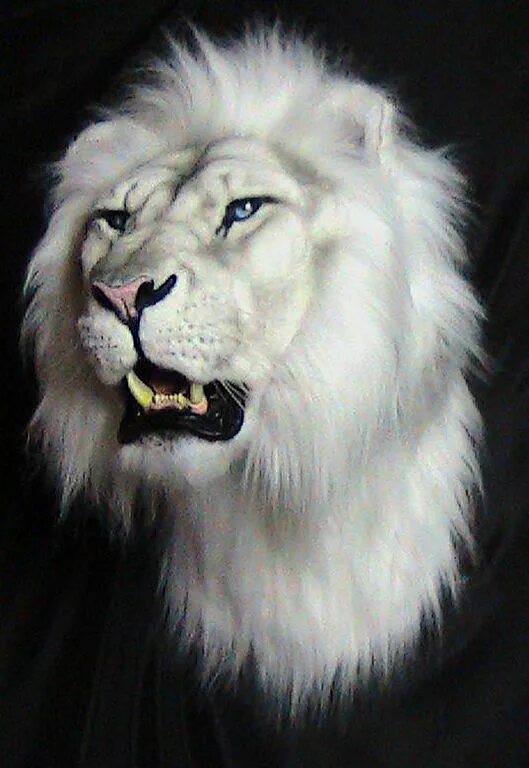 Таксидермия тигр. Головы животных. Чучело головы льва. Чучело льва на стене. Мех льва.