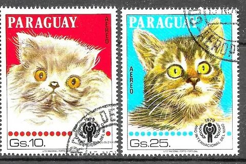 Животное 1979