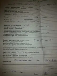 Брюшной полости норма
