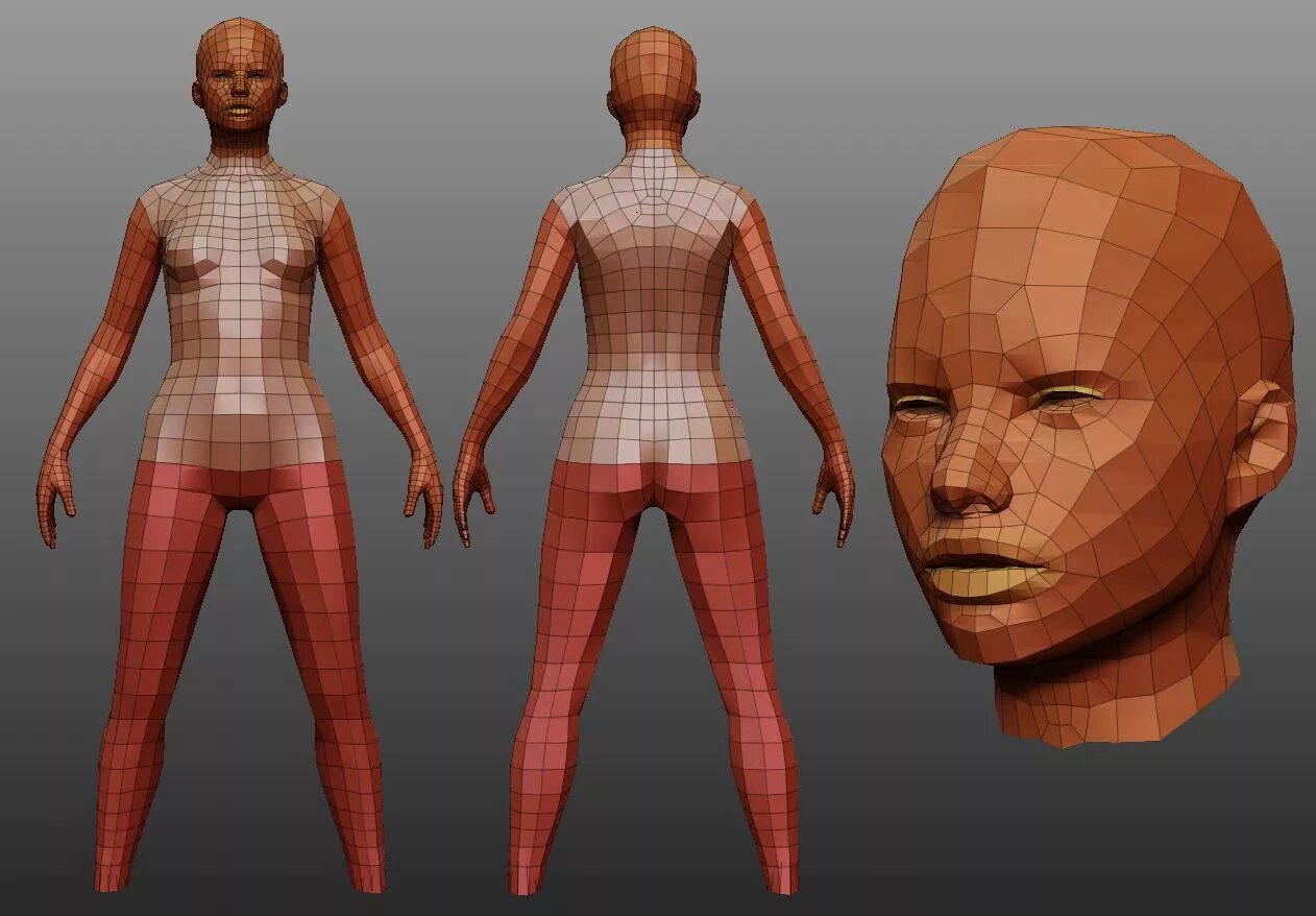 Human mesh blender. Ретопология 3д. ретопология в blender. ретопология тела референс. цифровая модель человека.