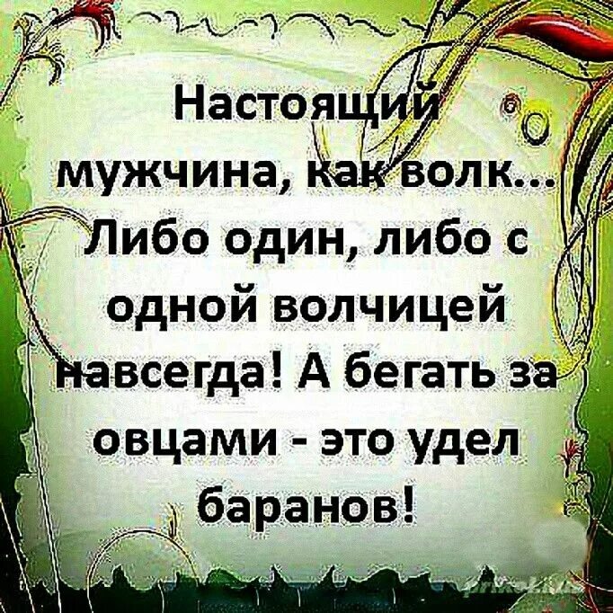 Фразы про текст