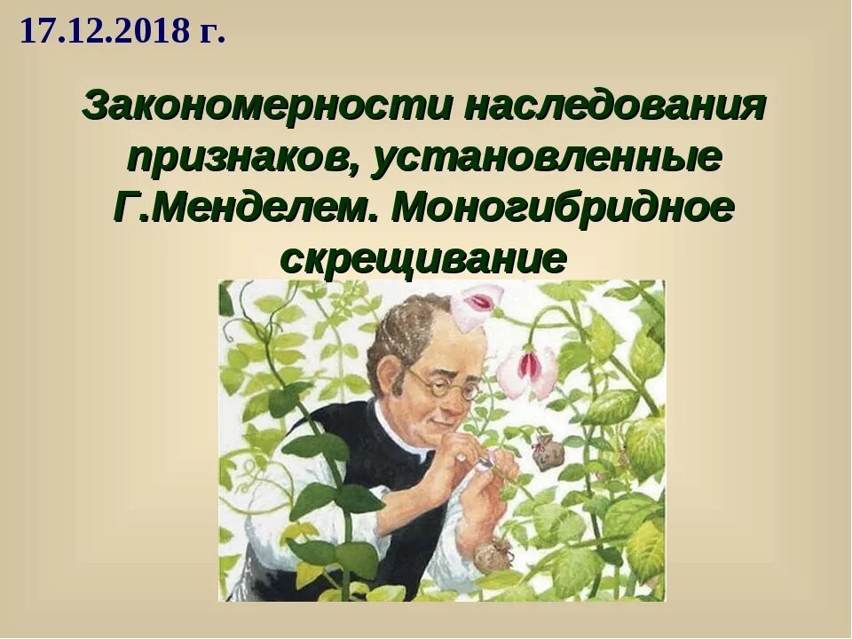 Закономерности наследования признаков 10 класс. Закономерности наследственности. Основные закономерности наследования. Закономерности установленные Менделем. Закономерности наследственности г Менделя.