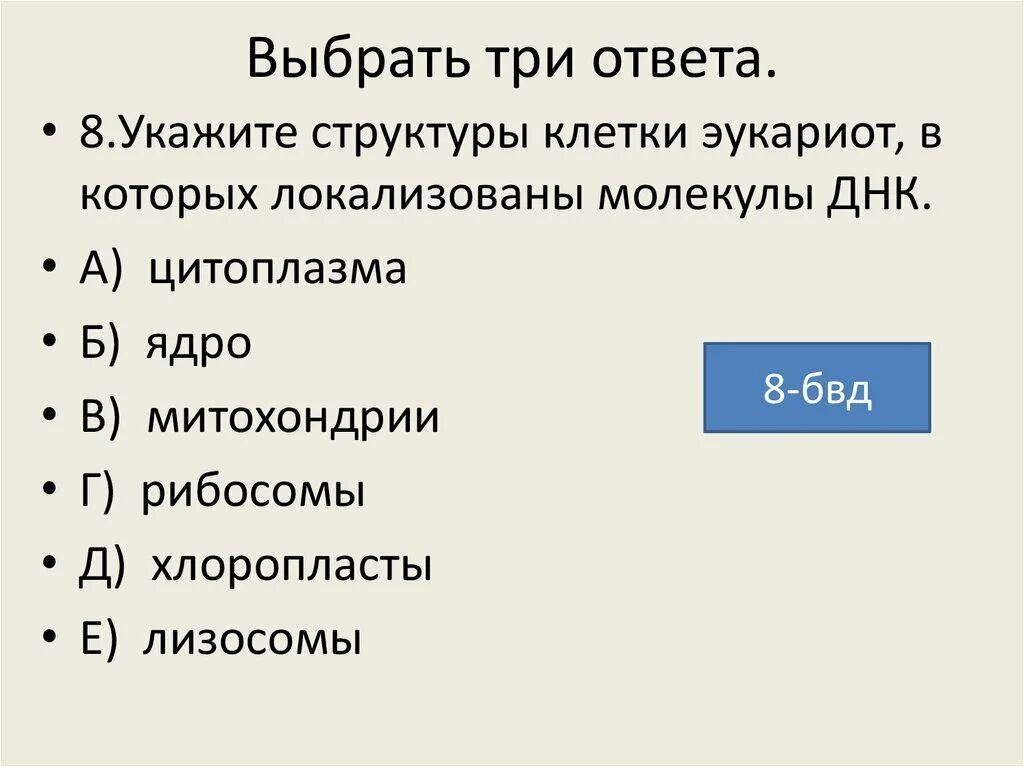 В каких структурах клетки эукариот локализованы молекулы ДНК. В каких структурах клетки эукариот локализованы молекулы. В каких структурах клетки локализованы молекулы ДНК. В каких структура клетки и орёт локализованы молекулы ДНК. Ядро имеет три ответа