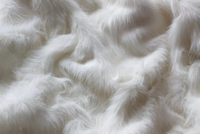 Белый мех текстура. Белый мех. Белая шерсть как называется. Белая шерсть как называется. Белый мех.