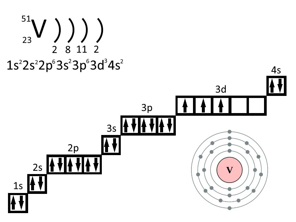 Рисунок схема строения электронной оболочки атома. Схема строения атома ванадия. Электронно графическая формула ванадия. Электронная конфигурация ванадия. Строение электронных оболочек атомов ванадий.