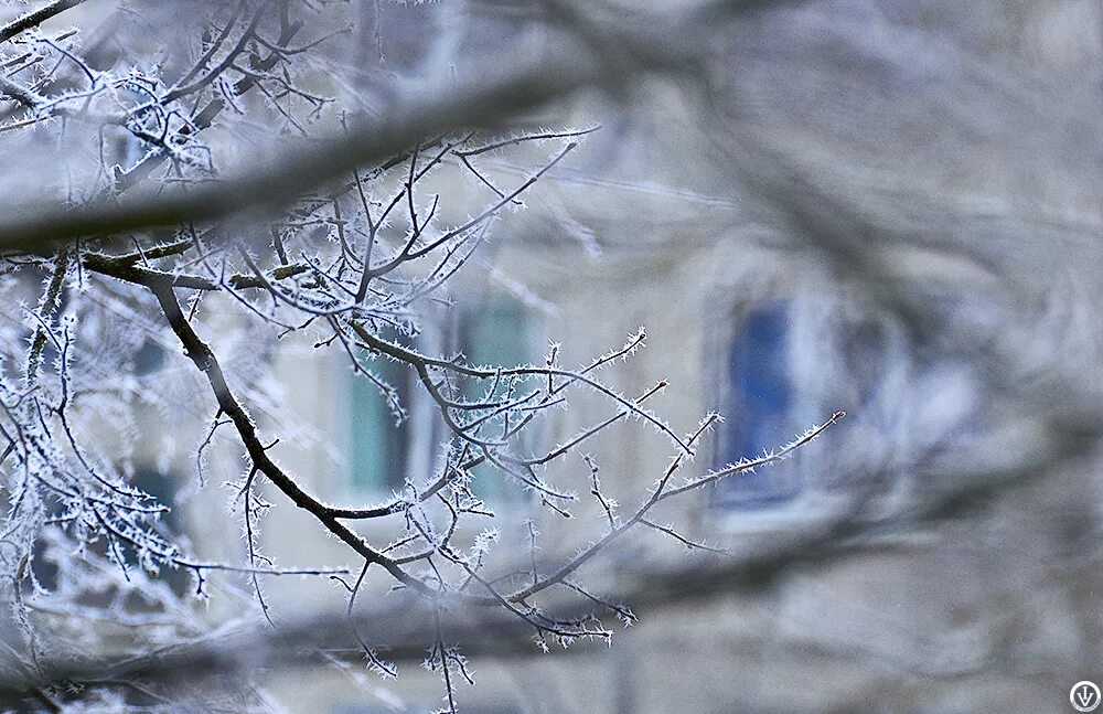 зимний день в сквозном проеме. незадернутых гардин. никого не будет в доме кроме сумерек один зимний. никого не будет в доме. зима дверь гардины сумерки.