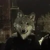 Сережа волк