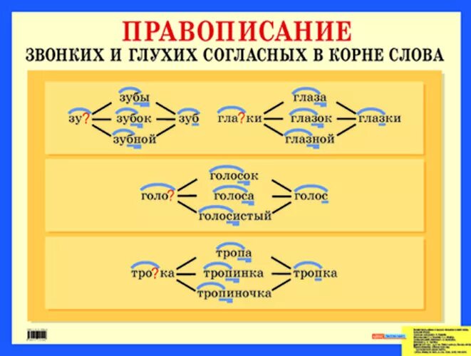 Орфограмма глухая звонкая согласная