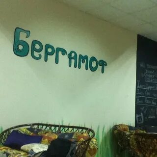 Бергамот новочебоксарск
