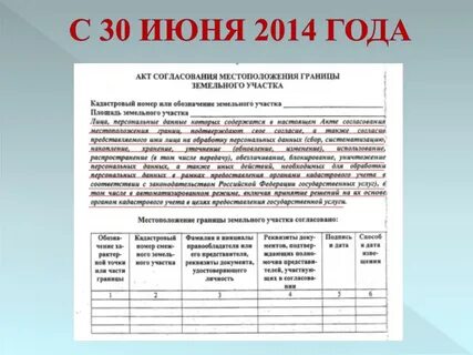 Работы по установлению границ земельного участка