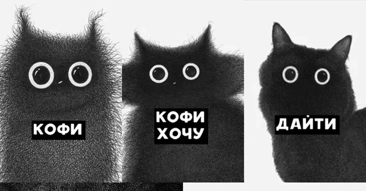Кофе кот мем. Кофий кот. коты и кофе мемы. кот мем. кофе мем с котом.